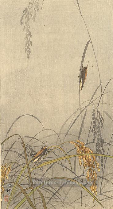 sauterelles sur les plants de riz Ohara KOSON Shin Hanga Peintures à l'huile